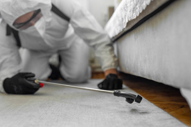 Professional Pest Control technician working in Oronoco, MN